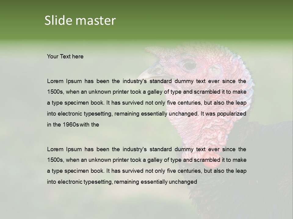 Livestock Landscape Wattle PowerPoint Template