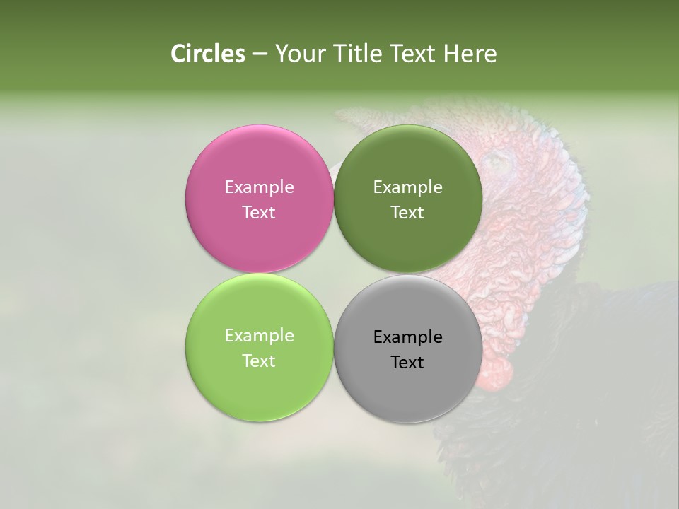 Livestock Landscape Wattle PowerPoint Template