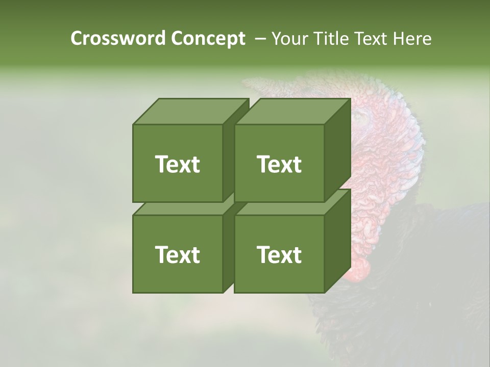 Livestock Landscape Wattle PowerPoint Template