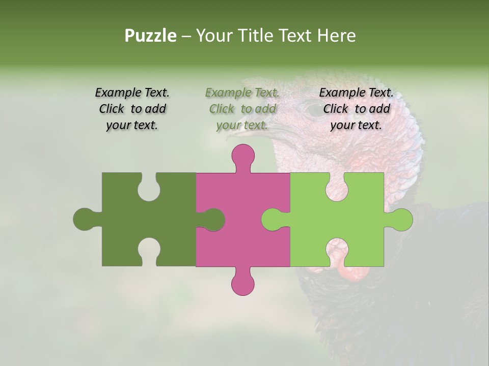 Livestock Landscape Wattle PowerPoint Template