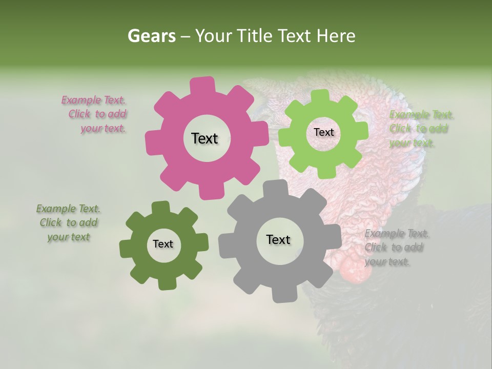 Livestock Landscape Wattle PowerPoint Template