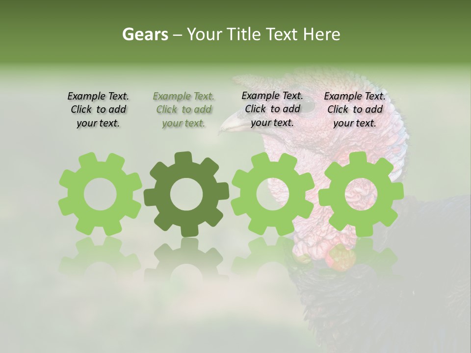 Livestock Landscape Wattle PowerPoint Template