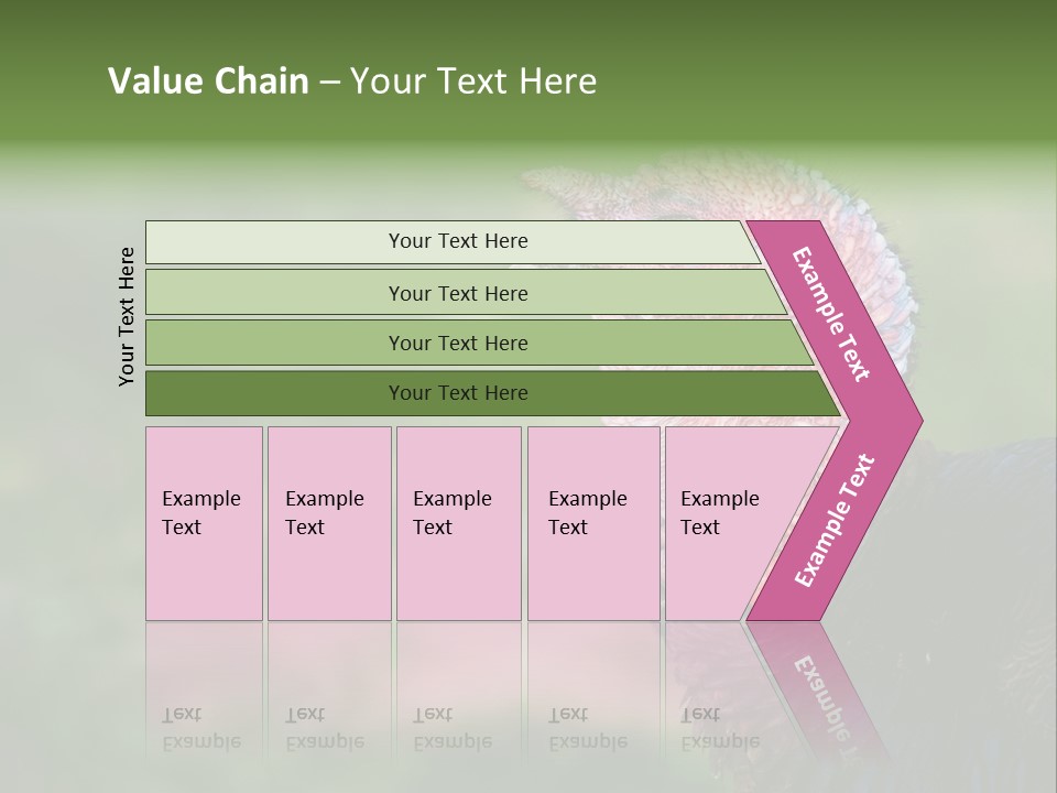 Livestock Landscape Wattle PowerPoint Template