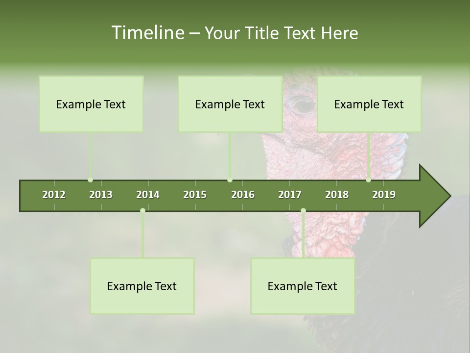 Livestock Landscape Wattle PowerPoint Template