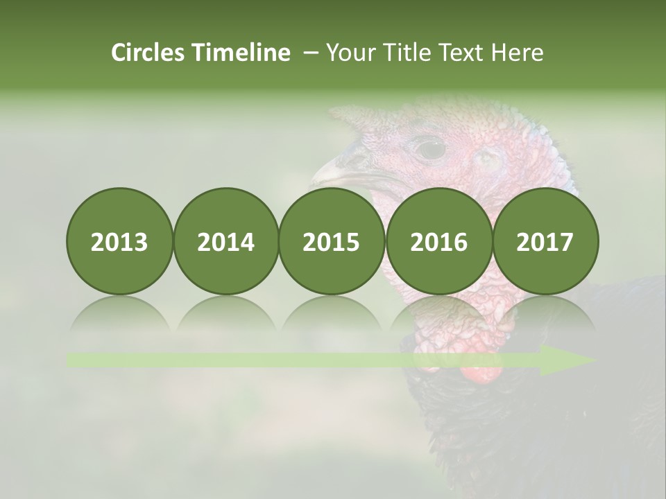 Livestock Landscape Wattle PowerPoint Template