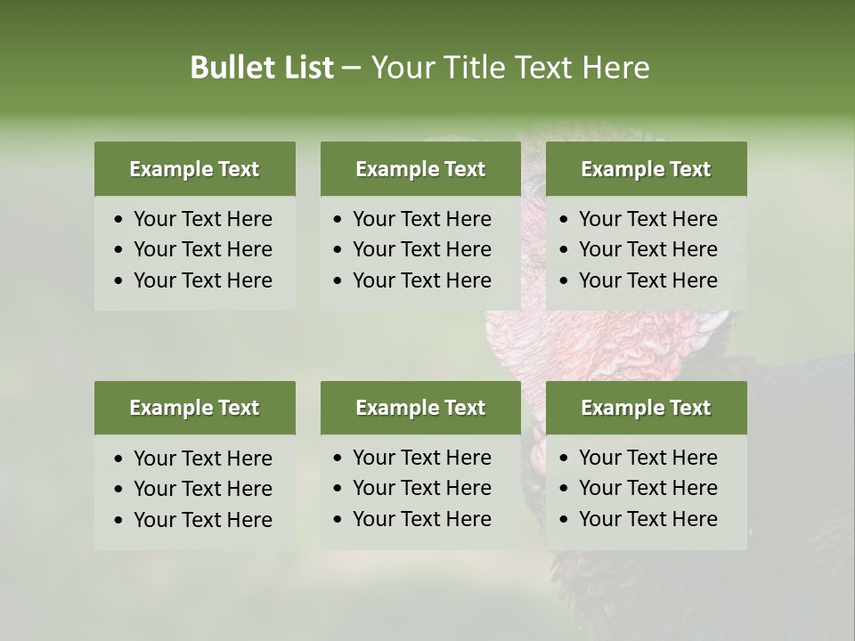 Livestock Landscape Wattle PowerPoint Template