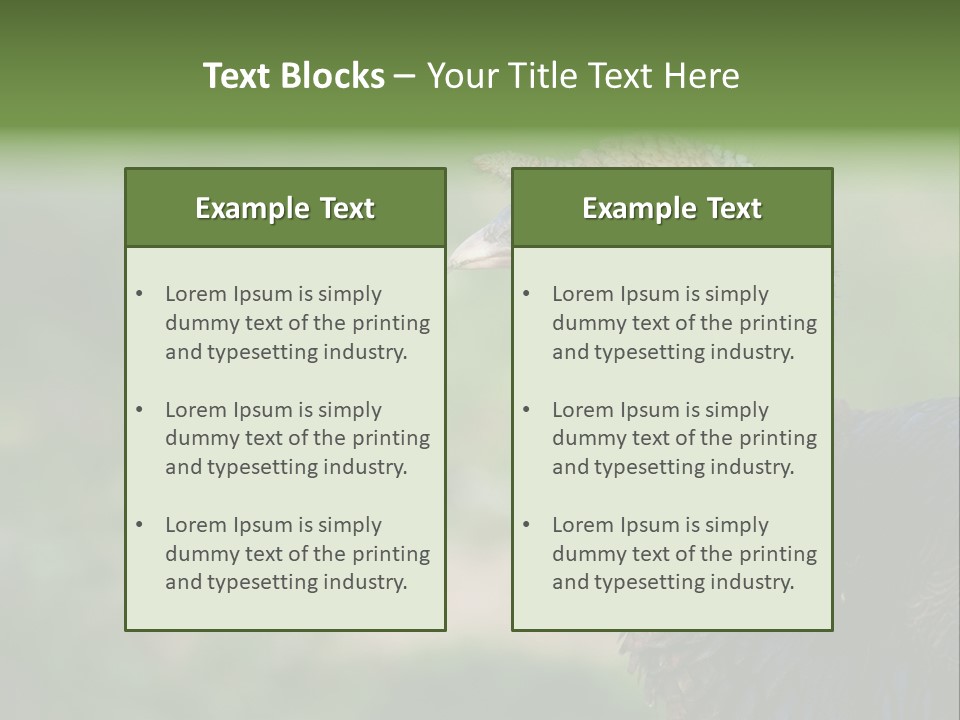 Livestock Landscape Wattle PowerPoint Template
