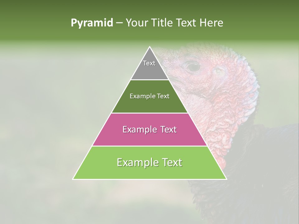Livestock Landscape Wattle PowerPoint Template