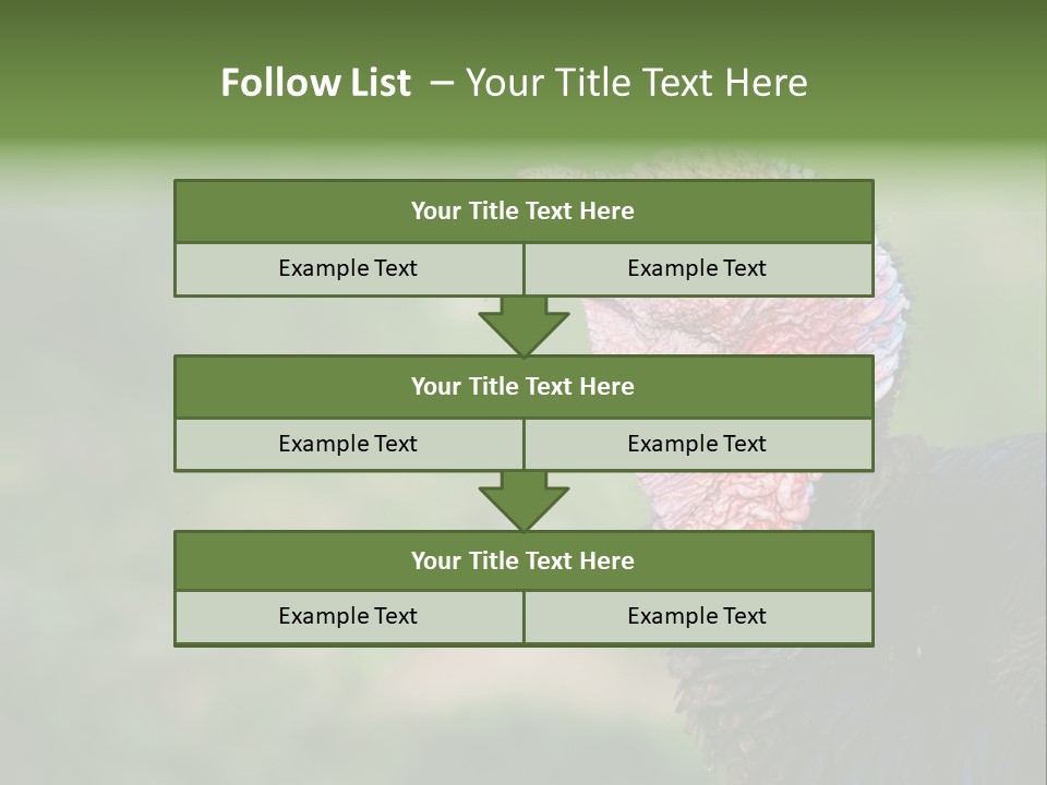 Livestock Landscape Wattle PowerPoint Template