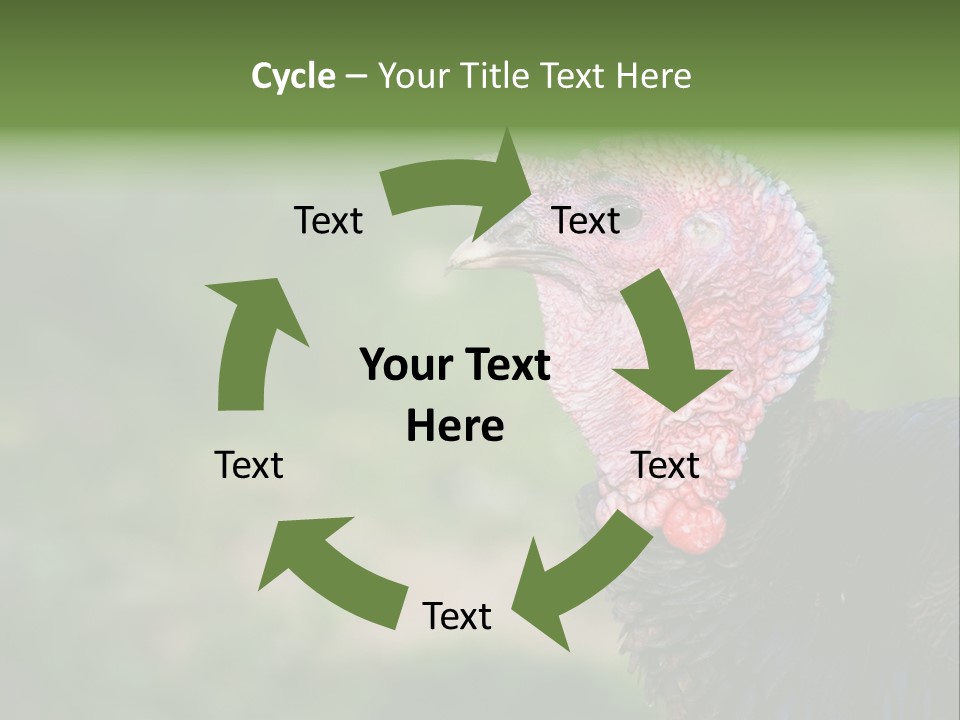 Livestock Landscape Wattle PowerPoint Template