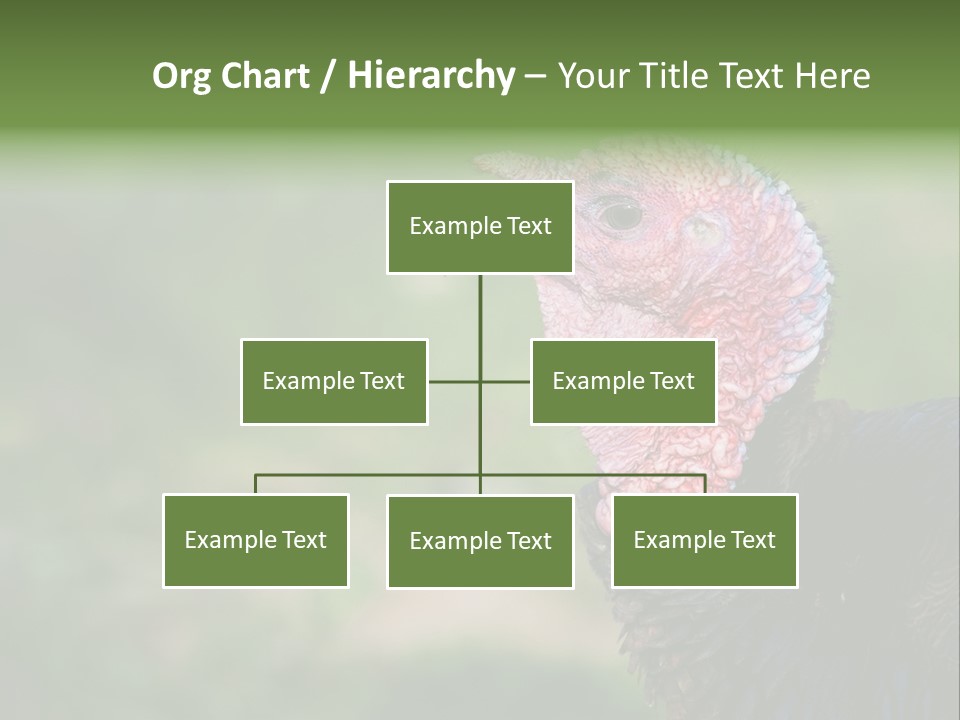 Livestock Landscape Wattle PowerPoint Template
