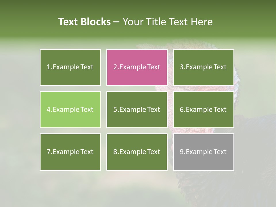 Livestock Landscape Wattle PowerPoint Template