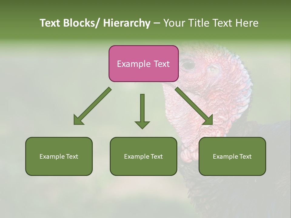 Livestock Landscape Wattle PowerPoint Template