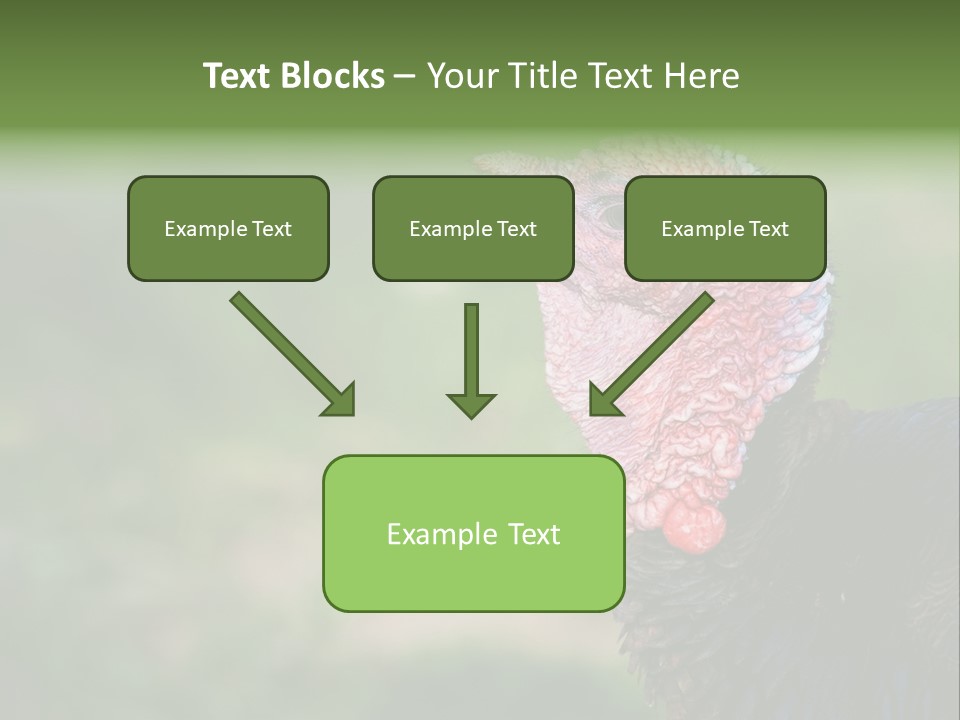 Livestock Landscape Wattle PowerPoint Template