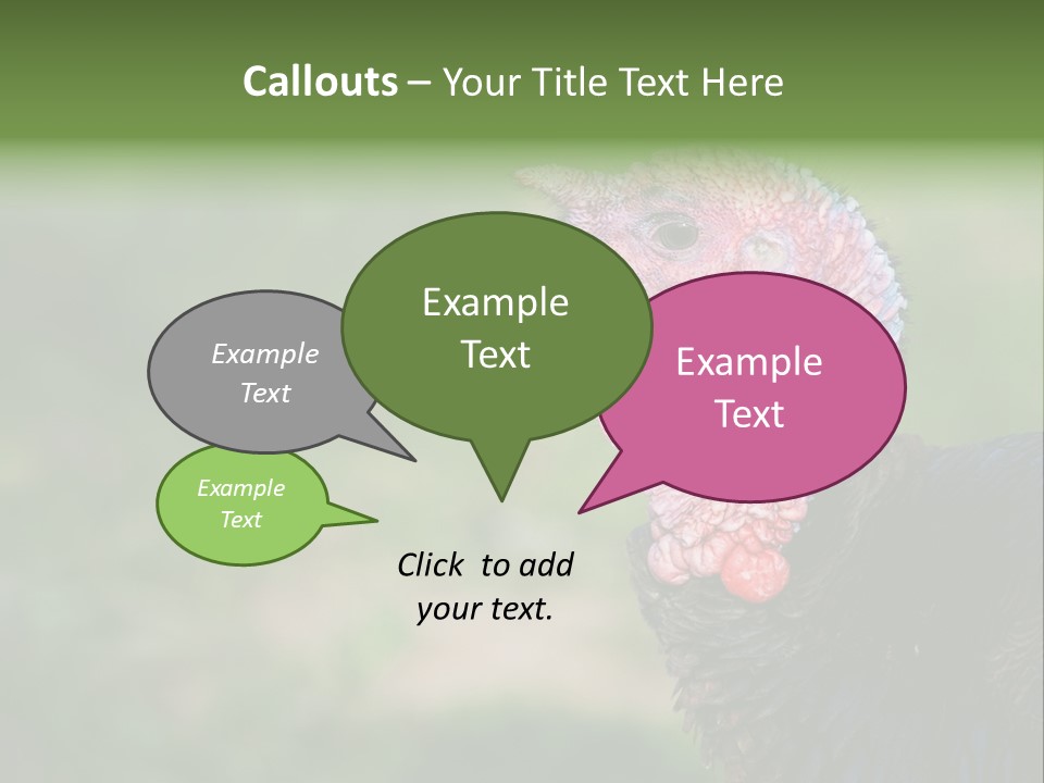 Livestock Landscape Wattle PowerPoint Template