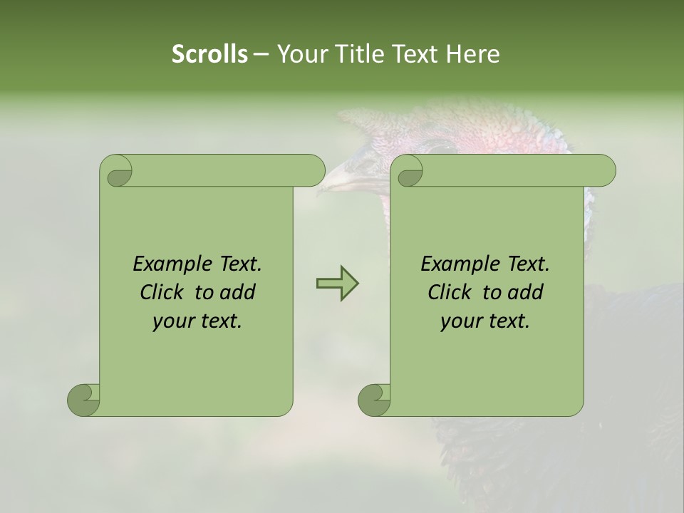 Livestock Landscape Wattle PowerPoint Template