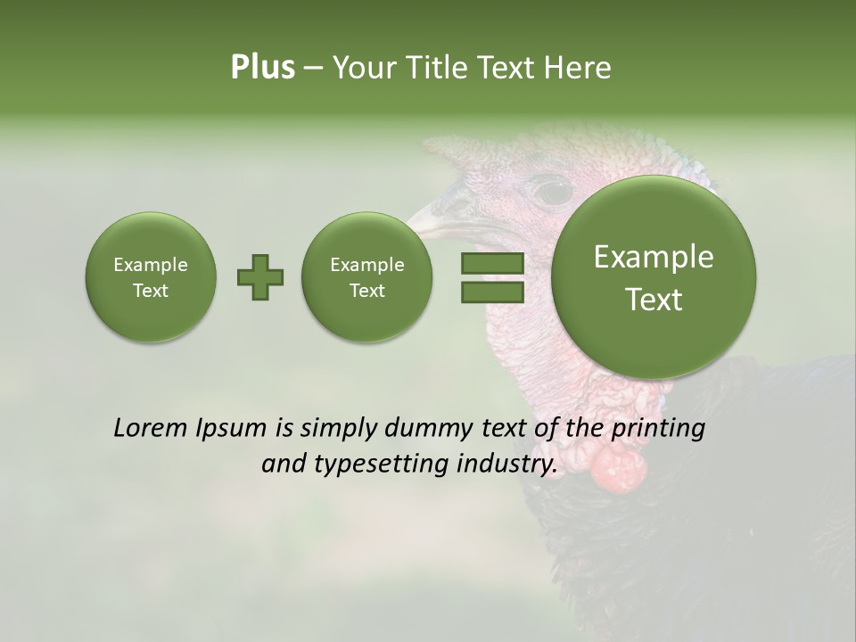 Livestock Landscape Wattle PowerPoint Template