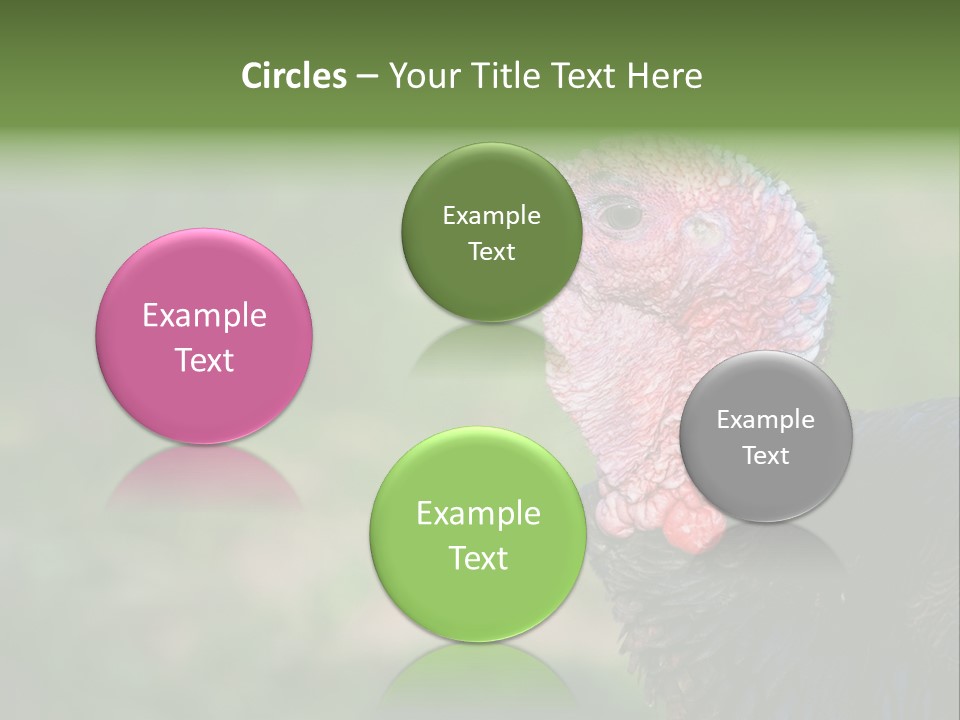 Livestock Landscape Wattle PowerPoint Template