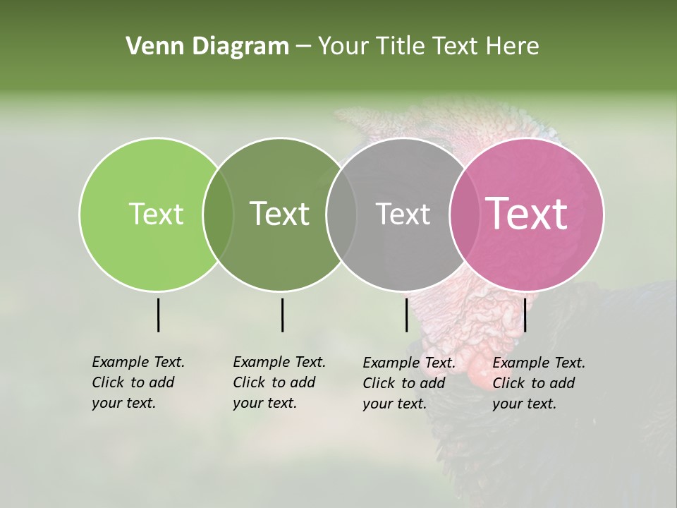 Livestock Landscape Wattle PowerPoint Template