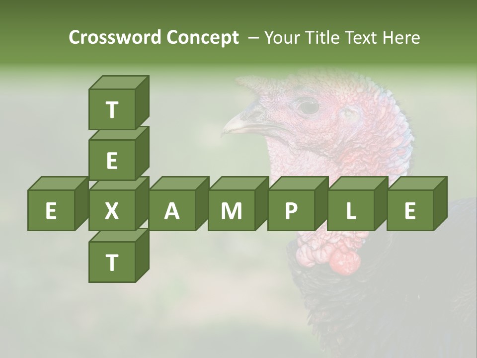 Livestock Landscape Wattle PowerPoint Template