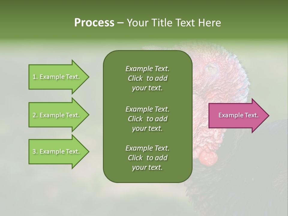 Livestock Landscape Wattle PowerPoint Template