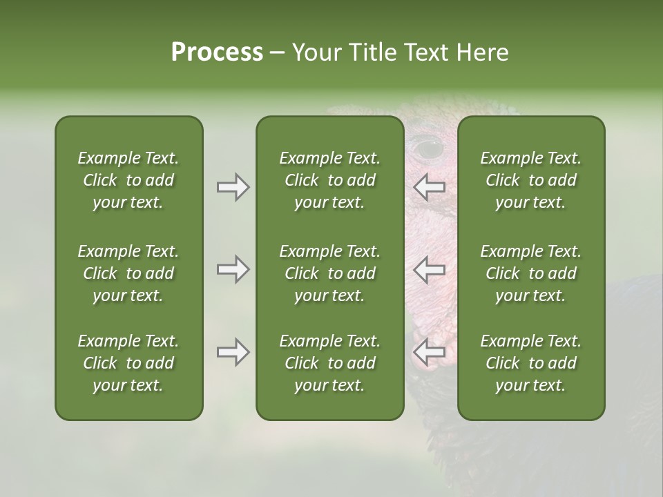 Livestock Landscape Wattle PowerPoint Template