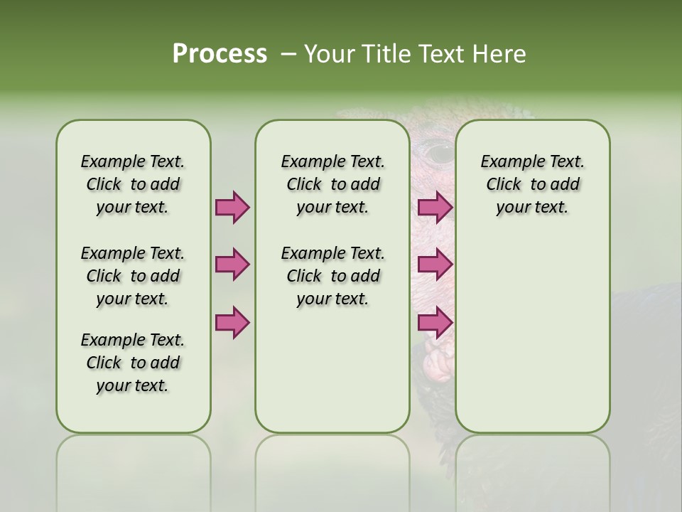 Livestock Landscape Wattle PowerPoint Template