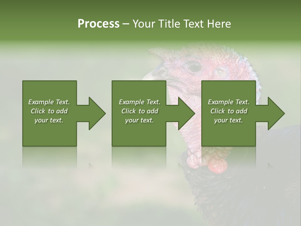 Livestock Landscape Wattle PowerPoint Template