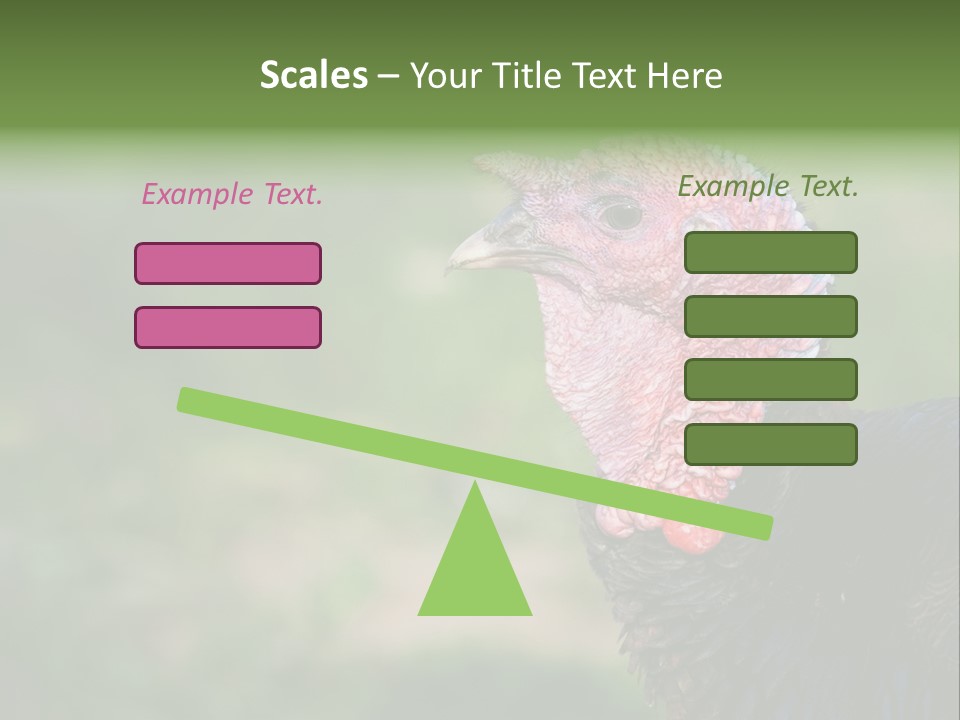 Livestock Landscape Wattle PowerPoint Template