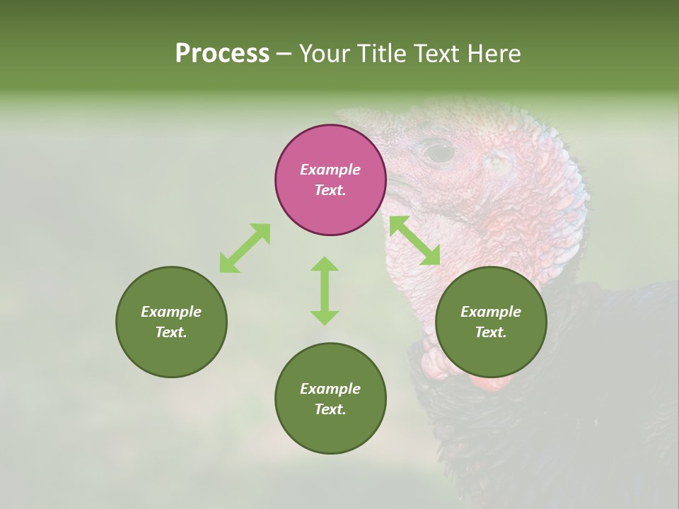 Livestock Landscape Wattle PowerPoint Template