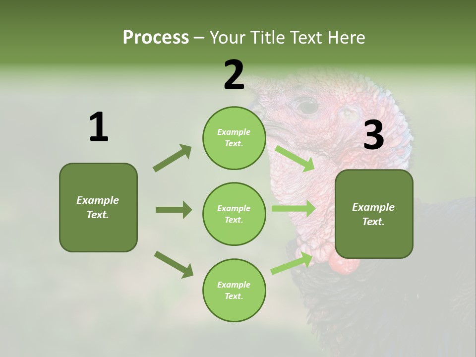 Livestock Landscape Wattle PowerPoint Template