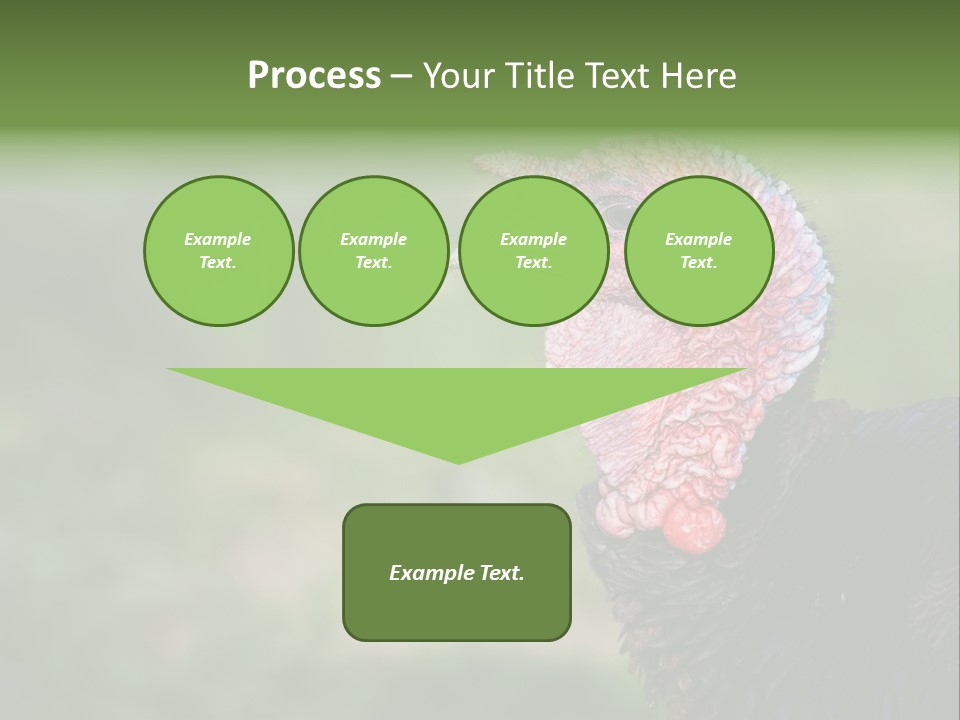 Livestock Landscape Wattle PowerPoint Template