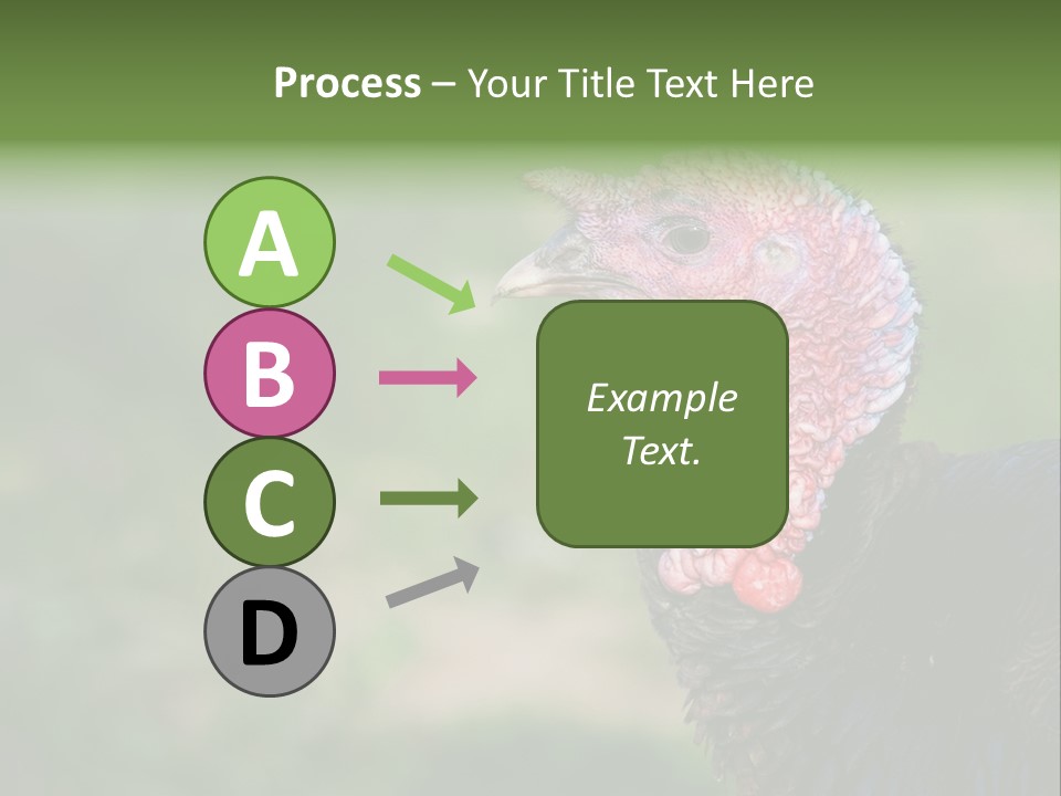 Livestock Landscape Wattle PowerPoint Template