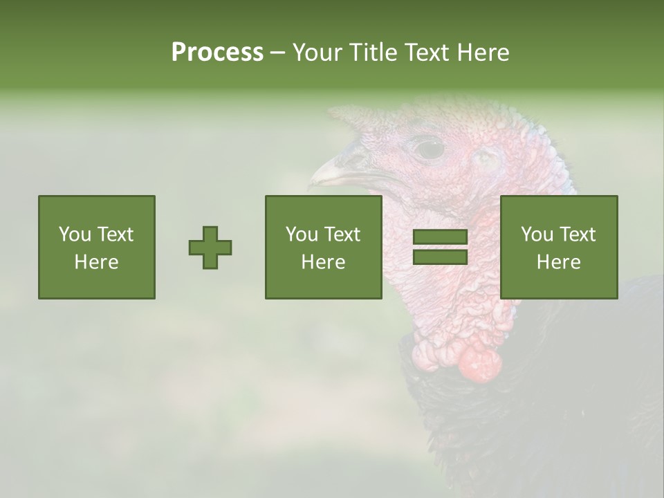 Livestock Landscape Wattle PowerPoint Template