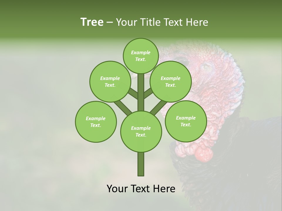 Livestock Landscape Wattle PowerPoint Template