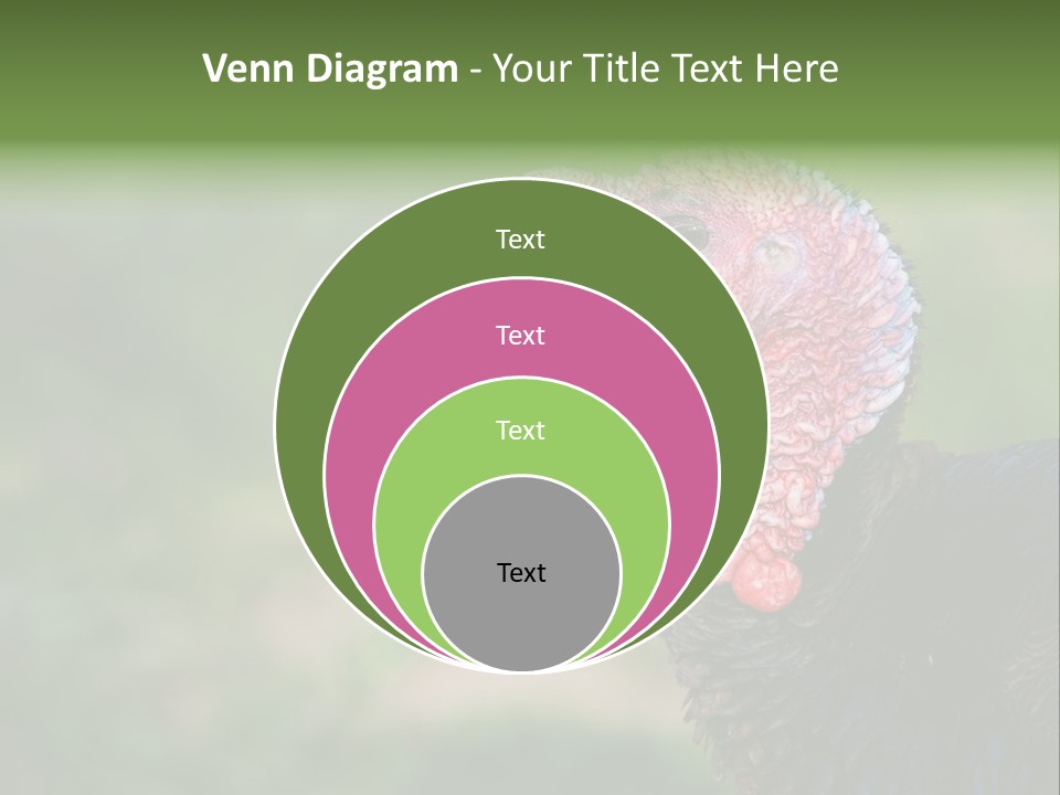 Livestock Landscape Wattle PowerPoint Template