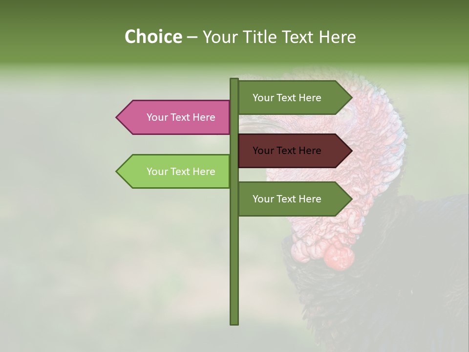 Livestock Landscape Wattle PowerPoint Template