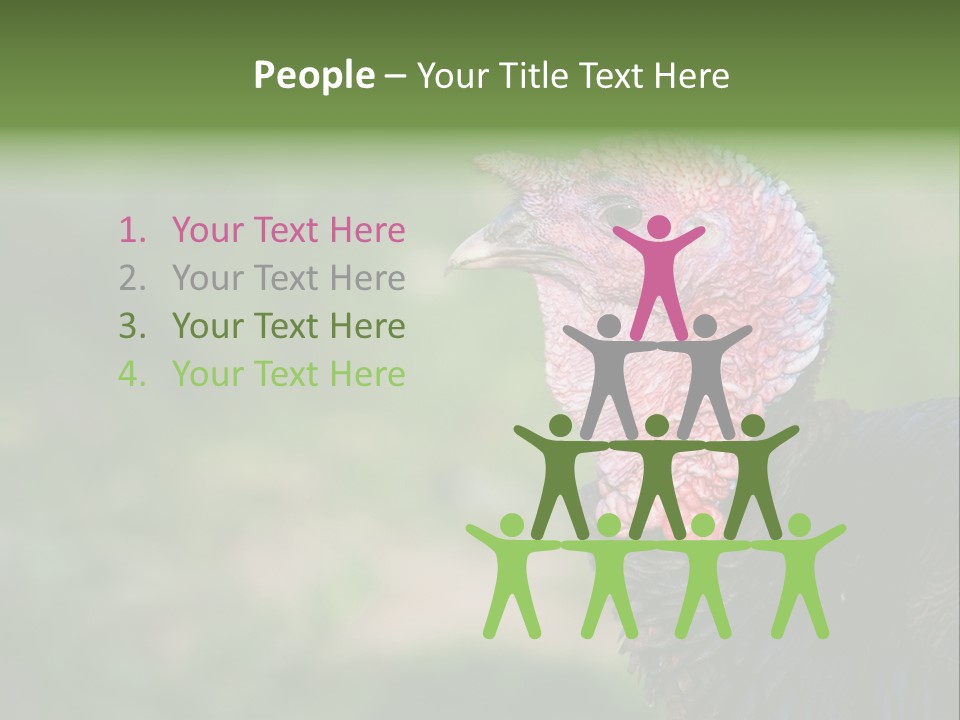 Livestock Landscape Wattle PowerPoint Template