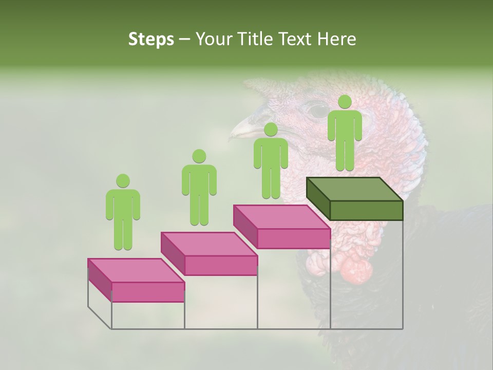 Livestock Landscape Wattle PowerPoint Template