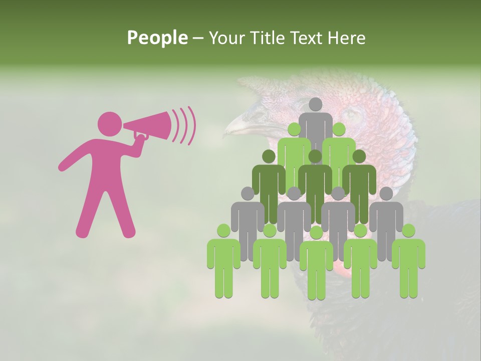 Livestock Landscape Wattle PowerPoint Template