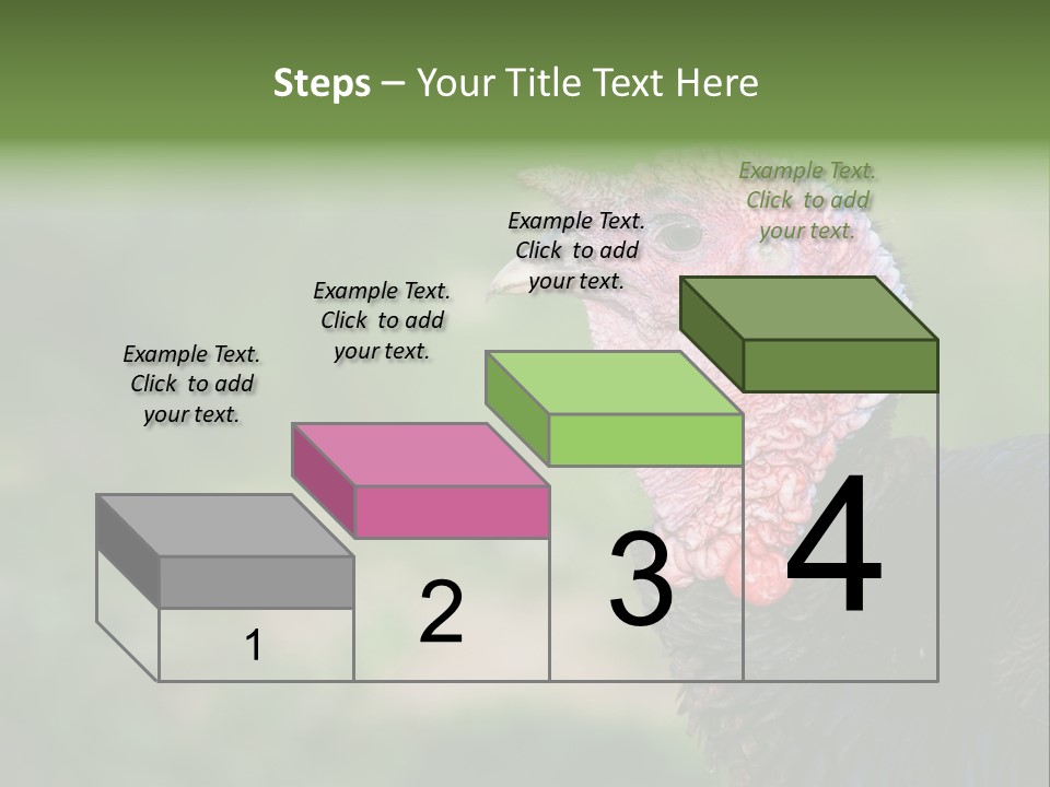 Livestock Landscape Wattle PowerPoint Template