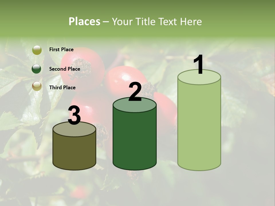 Giving Closeup Rosehip PowerPoint Template