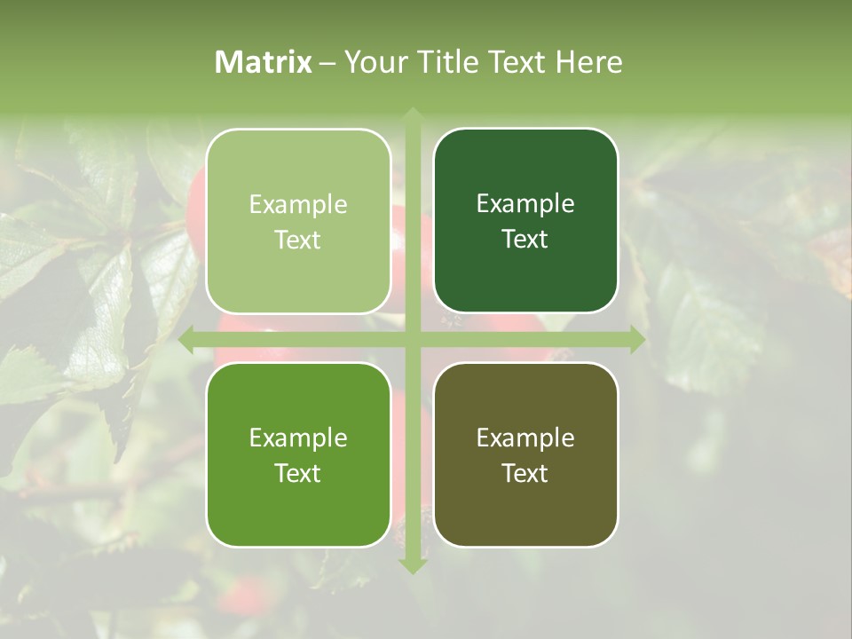 Giving Closeup Rosehip PowerPoint Template