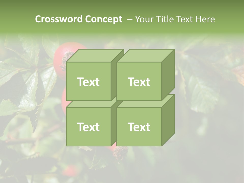 Giving Closeup Rosehip PowerPoint Template