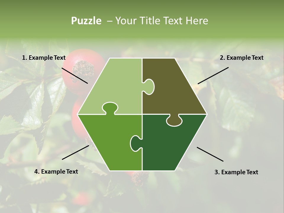 Giving Closeup Rosehip PowerPoint Template