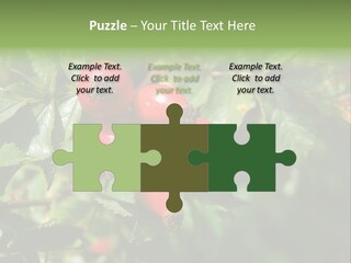 Giving Closeup Rosehip PowerPoint Template