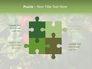 Giving Closeup Rosehip PowerPoint Template