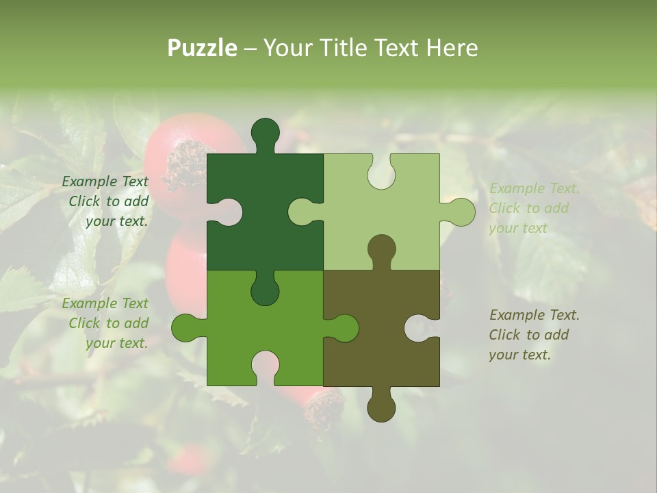 Giving Closeup Rosehip PowerPoint Template