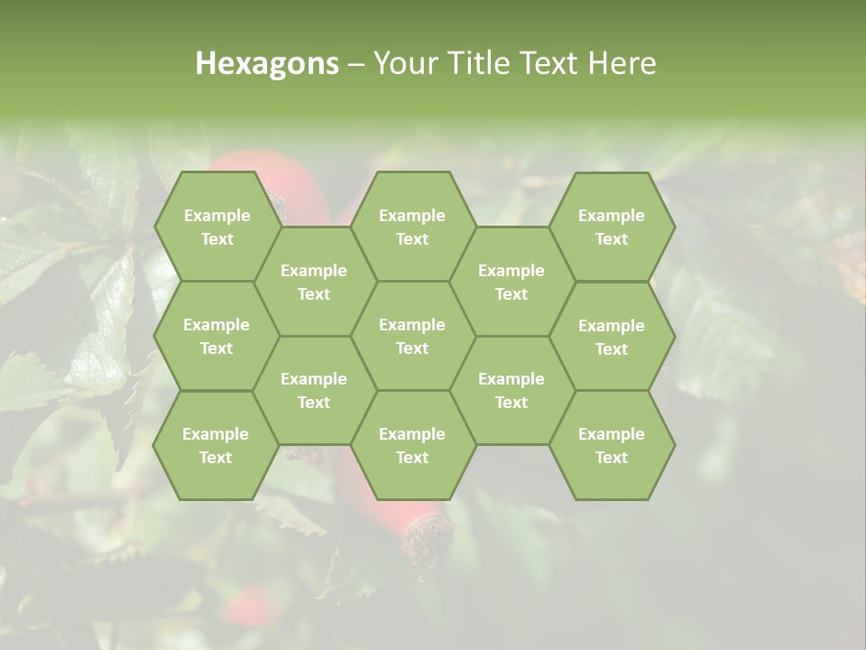 Giving Closeup Rosehip PowerPoint Template