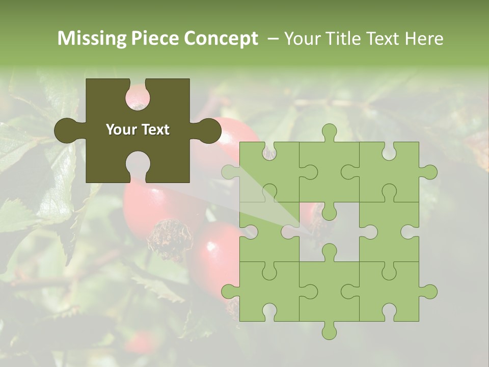 Giving Closeup Rosehip PowerPoint Template